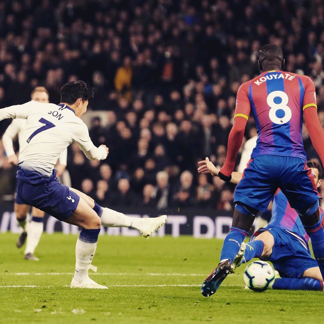 形成了良好 形成了良好